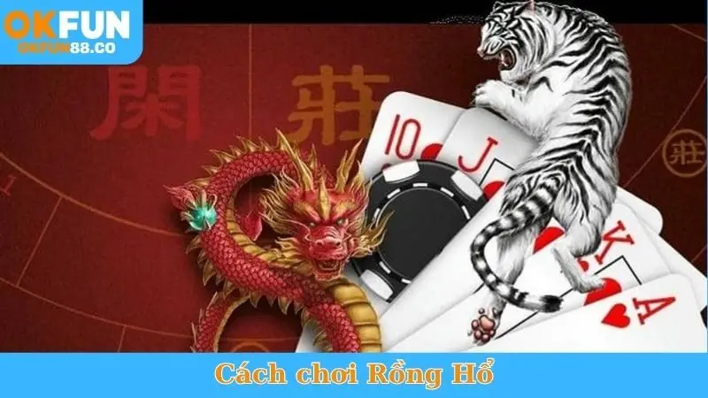 Live Casino - Sòng Bạc Trực Tuyến, Chơi Là Mê! - NUZASI