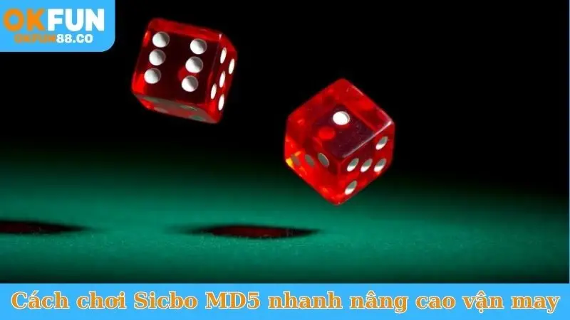 Nắm Vững Cách Chơi Sicbo MD5 - Kiếm Tiền Triệu Mỗi Ngày - NUZASI