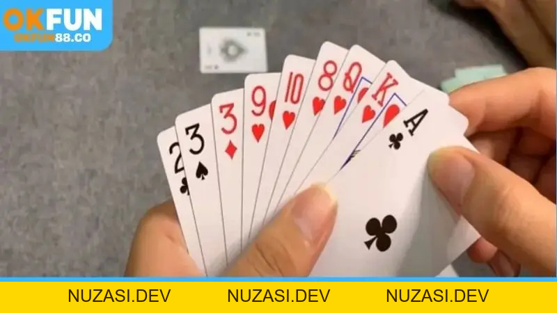 Live Casino - Sòng Bạc Trực Tuyến, Chơi Là Mê! - NUZASI