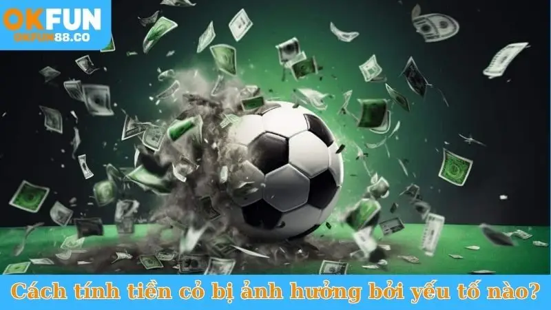 Cách Tính Tiền Cỏ - Công Thức Chuẩn, Nhận Hoàn Trả Khủng! - NUZASI