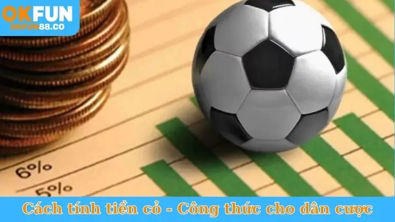 Cách Tính Tiền Cỏ - Công Thức Chuẩn, Nhận Hoàn Trả Khủng! - NUZASI