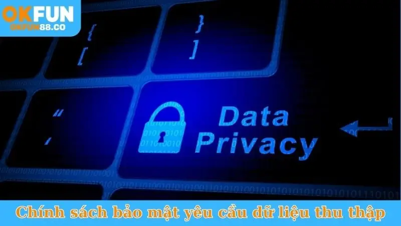 Chính Sách Bảo Mật - Cam Kết An Toàn Dữ Liệu Tuyệt Đối - NUZASI