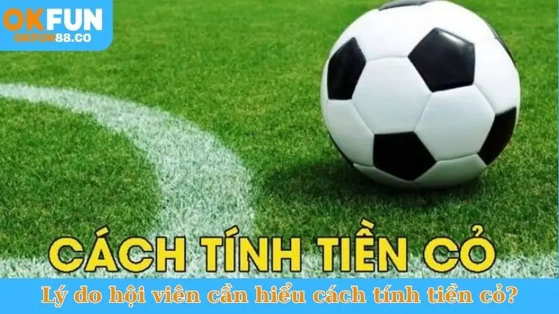Cách Tính Tiền Cỏ - Công Thức Chuẩn, Nhận Hoàn Trả Khủng! - NUZASI