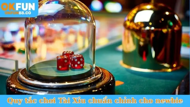 Cách Chơi Tài Xỉu Okfun Luôn Thắng - Bí Kíp Từ Cao Thủ - NUZASI