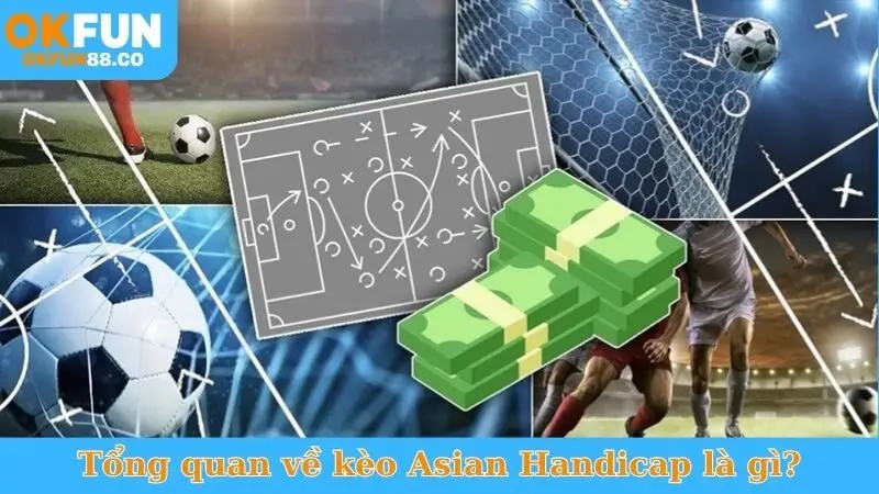 Asian Handicap Là Gì? Bí Quyết Thắng Lớn Cá Độ Bóng Đá - NUZASI