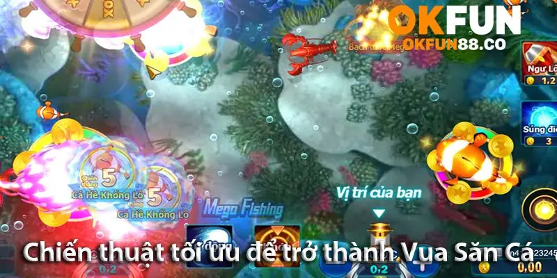 Vua săn cá – Giành phần thưởng khủng và thỏa sức thử thách - NUZASI